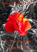 Un coquelicot pour mon papi jardinier